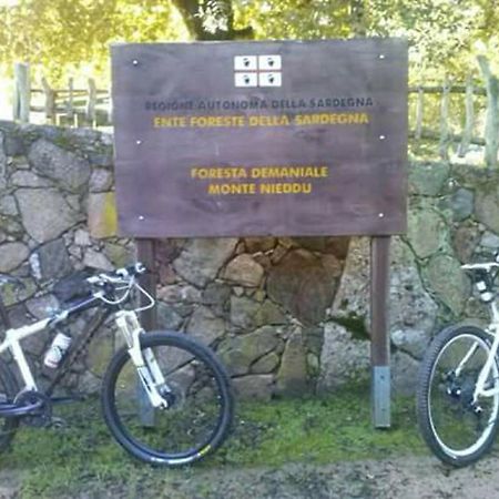 קאפוטרה B&B Il Vigneto מראה חיצוני תמונה