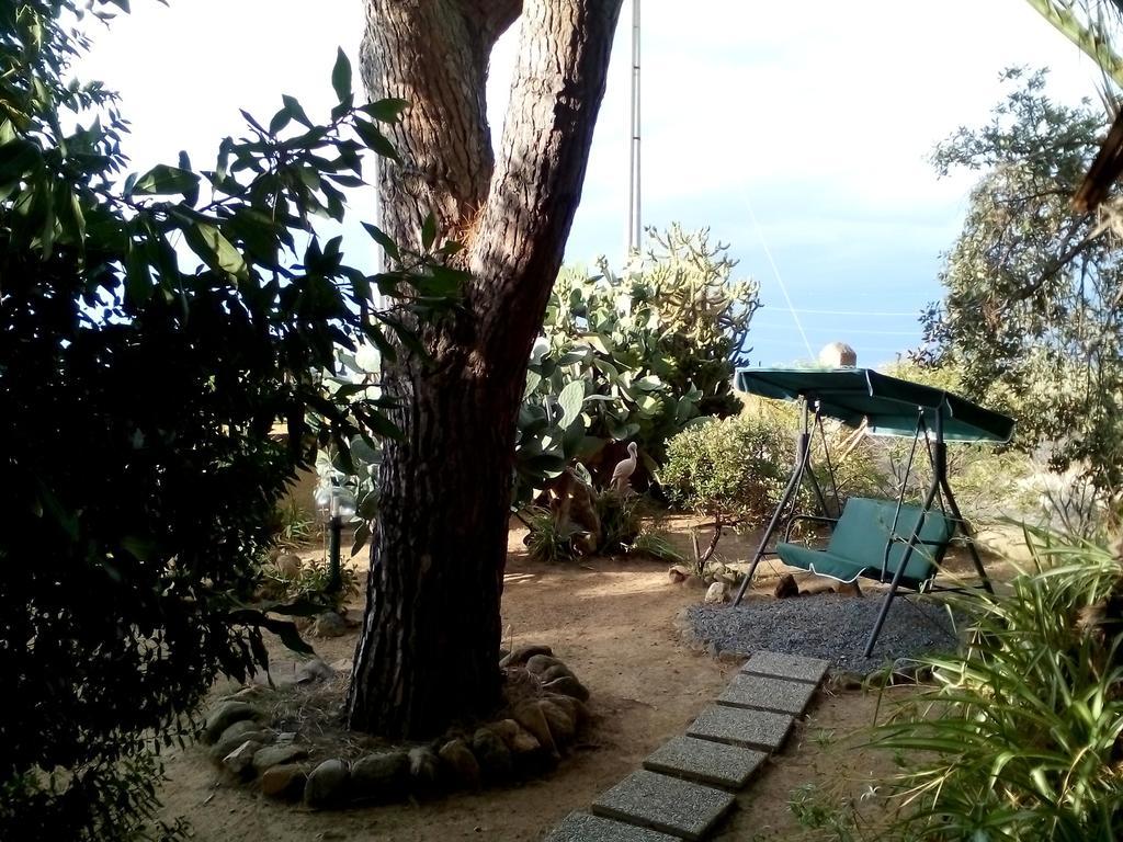 קאפוטרה B&B Il Vigneto מראה חיצוני תמונה