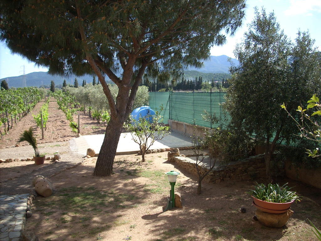 קאפוטרה B&B Il Vigneto מראה חיצוני תמונה