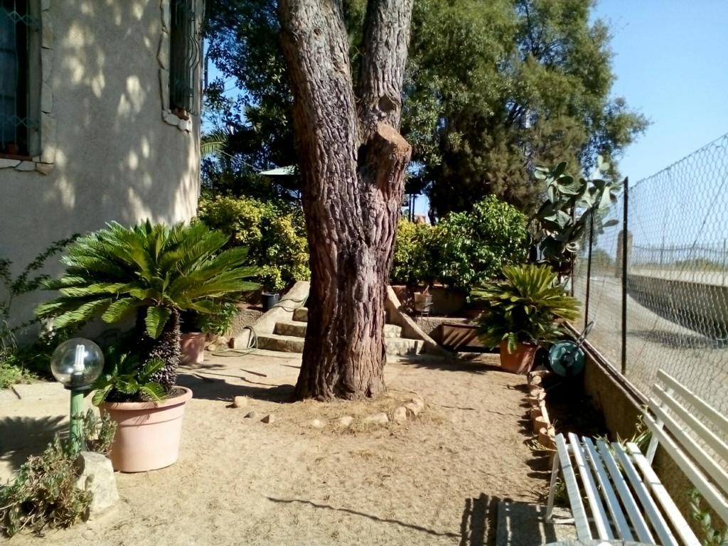 קאפוטרה B&B Il Vigneto מראה חיצוני תמונה